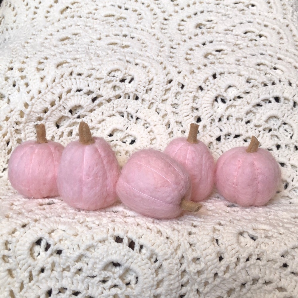 Shabby Chic needle Felted pumpkins set of 5